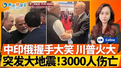 滁州环保面包走红网络，狗狗评委助力“创意营销大揭秘”！